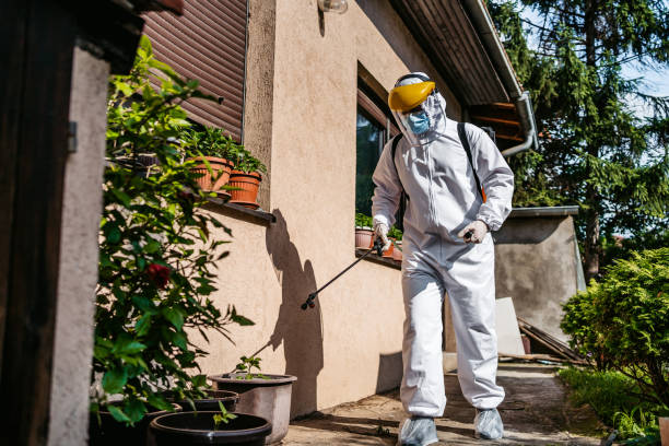 Best Pest Control Near Me in Sheffield, OH