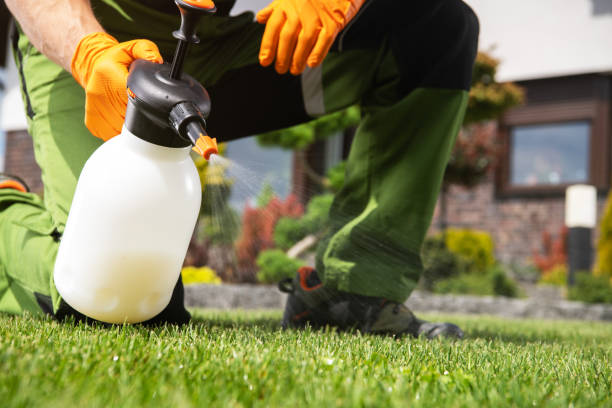 Best Wildlife Control Services  in Sheffield, OH