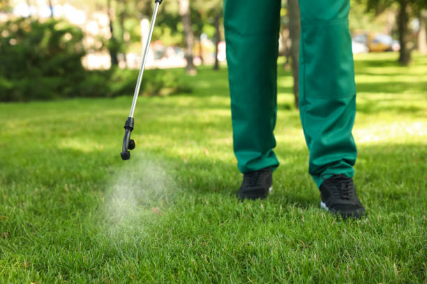 Best Ant Control Services  in Sheffield, OH