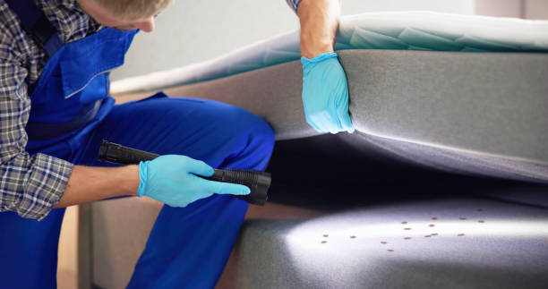Best Residential Pest Control  in Sheffield, OH