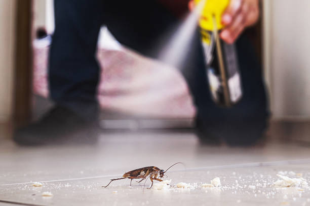 Best Pest Prevention Services  in Sheffield, OH