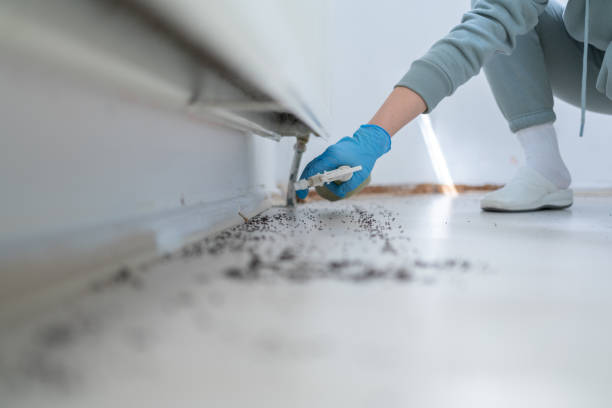 Best Local Pest Control Services  in Sheffield, OH
